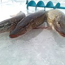 ���� ���������- ���� �������� !!, ������ - ��������� 9 ������� 2013 � ������ �9 ������� 2013� !!!!�