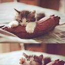 ���� �������, ��������, 40 ��� - ��������� 24 ������ 2012 � ������ ���� ����������