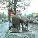 ���� ����! ���, ������������, 53 ���� - ��������� 2 ����� 2010 � ������ ����� ��������