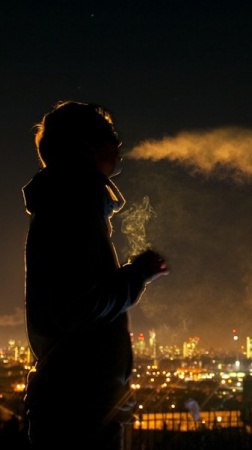 ������, ���������, 36 ���