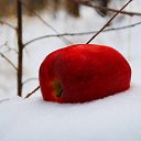 On the white blanket of November... �� ����� ��������� ������... �� ������� �������