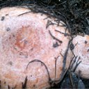 ���� ���@����@, �������, 49 ��� - ��������� 14 ������� 2011 � ������ ���� ����������