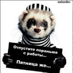  Viktor,  -  28  2012