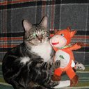 ���� �����, �������� - ��������� 22 ��� 2012 � ������ ���� ����������