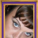 ���� ����, ���������, 41 ��� - ��������� 31 ��� 2013 � ������ ���� ����������