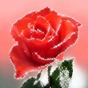 ���� Serg, ������, 66 ��� - ��������� 26 ������� 2011 � ������ ���� ����!!!�