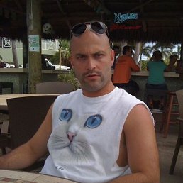 ���������, �����, 46 ���