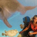 ���� ������, ������ - ��������� 28 ������ 2013 � ������ ���� ����������