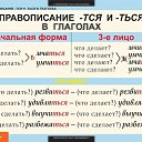 ���� �������, ����, 51 ��� - ��������� 23 ������ 2012 � ������ ���� ���û