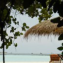 ���� �����, ������, 55 ��� - ��������� 31 ������� 2012 � ������ �������