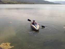 Kombain, �����, 51 ���