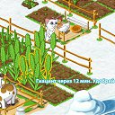 ���� ������, ������, 52 ���� - ��������� 5 ������� 2012 � ������ ������� �������