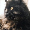 ���� Vavan, �������, 59 ��� - ��������� 8 ������� 2010 � ������ �������