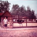 ���� �������, ������, 52 ���� - ��������� 29 ���� 2013 � ������ ���� ����������