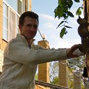 ���� ������, ��������, 49 ��� - ��������� 24 ������� 2012