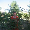 ���� �����, ��������, 55 ��� - ��������� 31 ����� 2012 � ������ ���� ����������