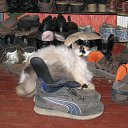 ���� ���, ������������ - ��������� 24 ������ 2012 � ������ ������