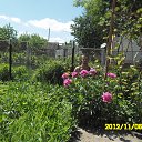 ���� Vitaliy, ����, 53 ���� - ��������� 26 ��� 2013 � ������ ���� ����������