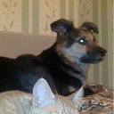 ���� ���� ���� ������, ������ ��������, 79 ��� - ��������� 14 ������ 2012 � ������ �������