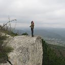 2013    