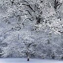  ,  -  29  2013   ѻ
