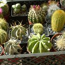 ���� ������, ������, 69 ��� - ��������� 5 ������ 2013 � ������ ���� ��������� ����������