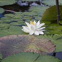 ���� ����� - ���������� ��������!!!, �����������, 56 ��� - ��������� 10 ������ 2010 � ������ ������� �����