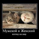 ���� �����, ������, 45 ��� - ��������� 11 ������ 2011 � ������ ���������