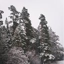 ���� ���, ������ - ��������� 18 ������� 2011 � ������ ���� �����������: ��������
