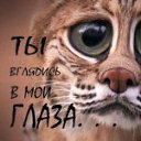 ���� �������, ���������, 59 ��� - ��������� 16 ������� 2009 � ������ �������� �����