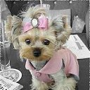 ���� &bull;&deg;&bull;&bull;���&bull;&deg;&bull;&bull;, �������, 24 ���� - ��������� 29 ���� 2012 � ������ ��������