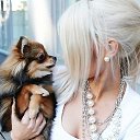 ���� Kristi, �����������, 33 ���� - ��������� 27 ���� 2013 � ������ ���� ����������