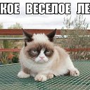 ���� �����, ������� - ��������� 27 ���� 2013 � ������ ������� ���� �������)))�