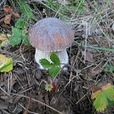 �����! �� ������� ���� ����������