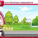  Douhi, , 42  -  19  2011   PetLove