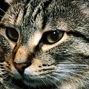 ���� ����, �����-���������, 46 ��� - ��������� 27 ������ 2011 � ������ ���� ����������