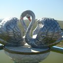 ���� Goga, �����������, 61 ��� - ��������� 16 ������� 2011 � ������ �������