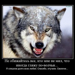 ���� Viktor, ����, 70 ��� - ��������� 17 ������ 2011