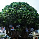 ���� ���������, �����������-��-����� - ��������� 16 ������� 2012 � ������ �������