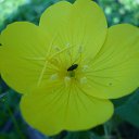  , -, 40  -  16  2011     