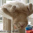 ���� �������, �����, 39 ��� - ��������� 2 ������ 2009 � ������ ��������� �����