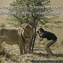���� �����, ������ - ��������� 10 ������ 2012 � ������ ���� ����������