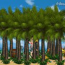 � �� ������� �Tropikania�