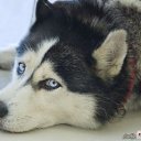 ���� �����, ���� - ��������� 25 ������� 2013 � ������ ���� ������ ������� �����, ��� ������ �������� ������)))�