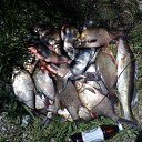 ���� ��������, ����, 51 ��� - ��������� 29 ���� 2012 � ������ ���� ����������