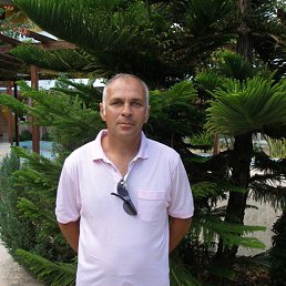 ���� �������, ���������, 59 ��� - ��������� 20 ���� 2013