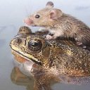  , -, 54  -  12  2010   