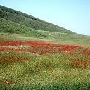 ���� ����������, ����, 75 ��� - ��������� 17 ������ 2012 � ������ �����-3�