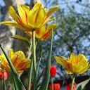 ���� ������, ������, 63 ���� - ��������� 5 ������� 2011 � ������ ������-���� �����....�