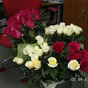 ���� �����, �������������, 54 ���� - ��������� 7 ����� 2013 � ������ ������